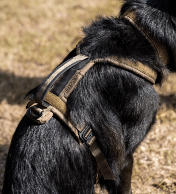 Tailsplanet Non-stop dogwear Line Harness Grip WD