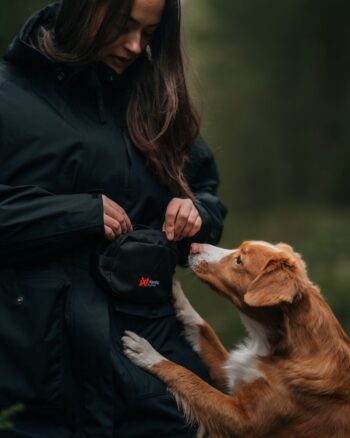 Trail Quest vöökott