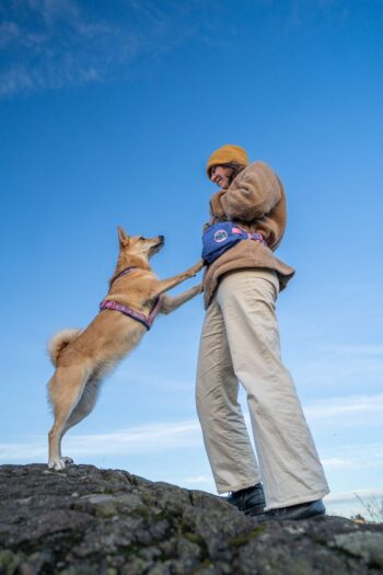 Trail Quest vöökott