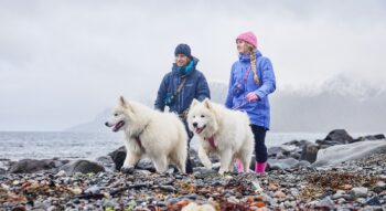 Trail Quest vöökott