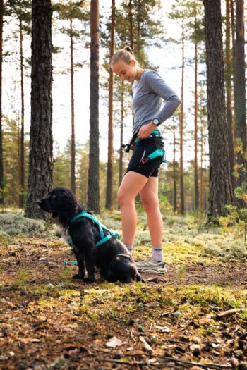 Bungee rihm Bungee rihm