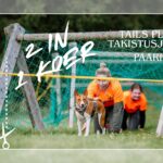 PAARI PILET (2x inimene ja 1x koer)